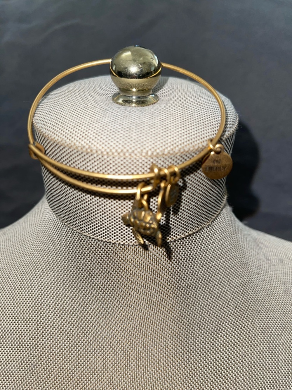 Alex and Ani Gold-Tone Turtle Charm Bangle Bracelet - Women Jewelry